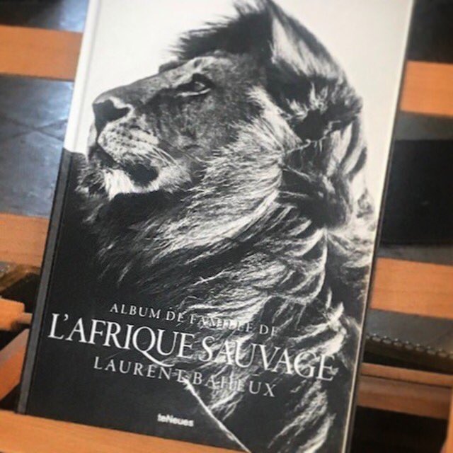 laurentbaheux's tweet photo. Your signed &amp; dedicated book by @laurentbaheux is on https://t.co/d0zkxp7s5V #africa #LION https://t.co/ldGYvKpt2a