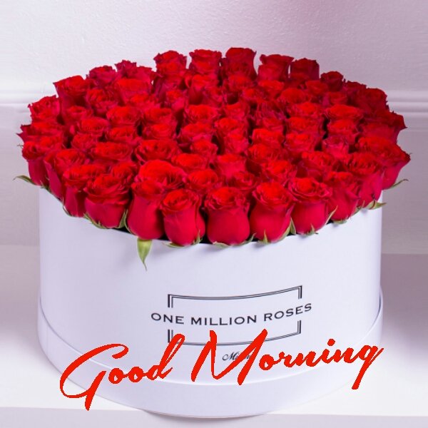 Happy Birthday  to Arun jaitley sir 