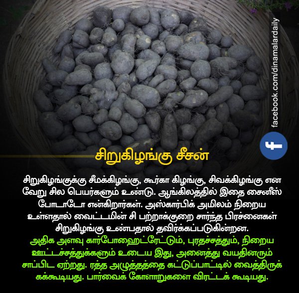 dinamalarweb's tweet photo. அறிவியல் ஆயிரம்: சிறுகிழங்கு சீசன் #ChinesePotato #SiruKizhangu #Health_Tips https://t.co/jjEuZLvnyd https://t.co/NofyFEwdG0