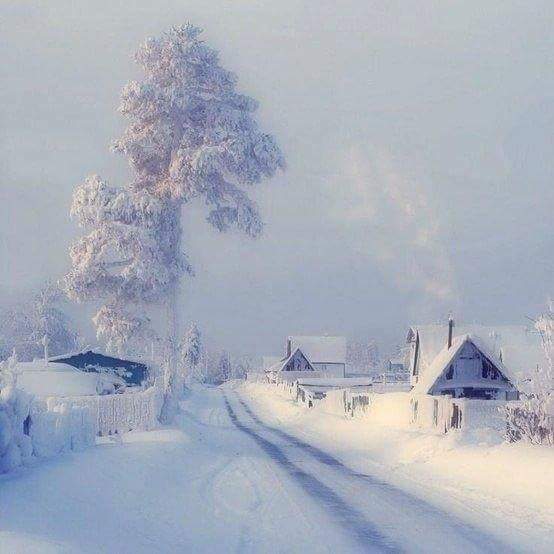 kentkristensen1's tweet image. Morning has broken... 
#cold #ThursdayThoughts stay home❤