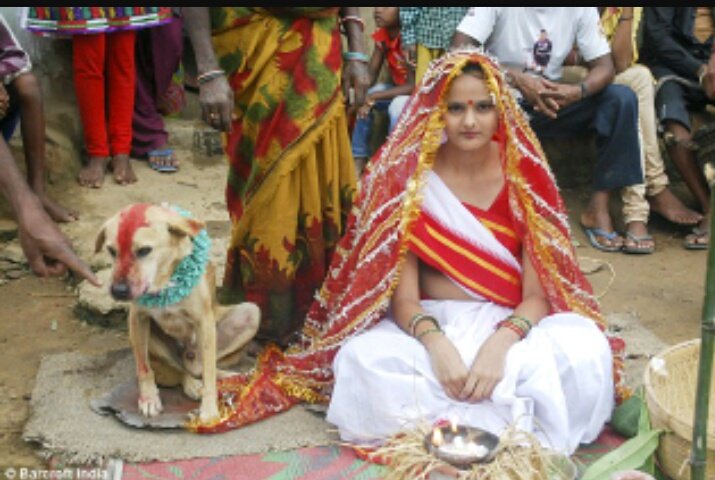 GoatamSameer's tweet photo. @KiranPrakashg20 @nimish41128245 @_D_H_R_U_V_A_ @Ashiqkhan1987As @1vQSar0ktbsUxYi @imindianydmm @narendr21630865 @SanjitVasudev @trueindianAliya @RKPandeyGuruji @Traitor_Javahar @Raj09942506 @lMR5opUJq6yno2E @Hajindersingh2 @DArunkumarsingh @Santosh96554617 @neerajtyagimbd @CBarwad @RavindaSingh3 @taxidri18257830 @Gopal85605520 @AnilPan20706353 @SINGHXLb @ashmaathesky @RajuQureshi20 @BabaDiwana @BhashadRaja @Newprophet3 @Bujji40397018 @hoxexpose @manqais1 @alamgirizvi @jagmoha35891260 @GhnteB @Ghntewalebaba @Choudhary_J1 @develdublish @bhisamsharma @Ilyaskh89851352 @kingankitnegi @sghoney4545 @Gurru_Ghantal @The4Liner @Varinde37395875 @develdublish2 @AainaReal @Mangu24x7 @bindasrangoli @RajBaghla4 @RajArora16 Sanghi bivi ko chhod k bhag jate hai..... Fir ptaa nhi kis ka. Ansh... Dalvati hai sanghne https://t.co/q69fduBr5w