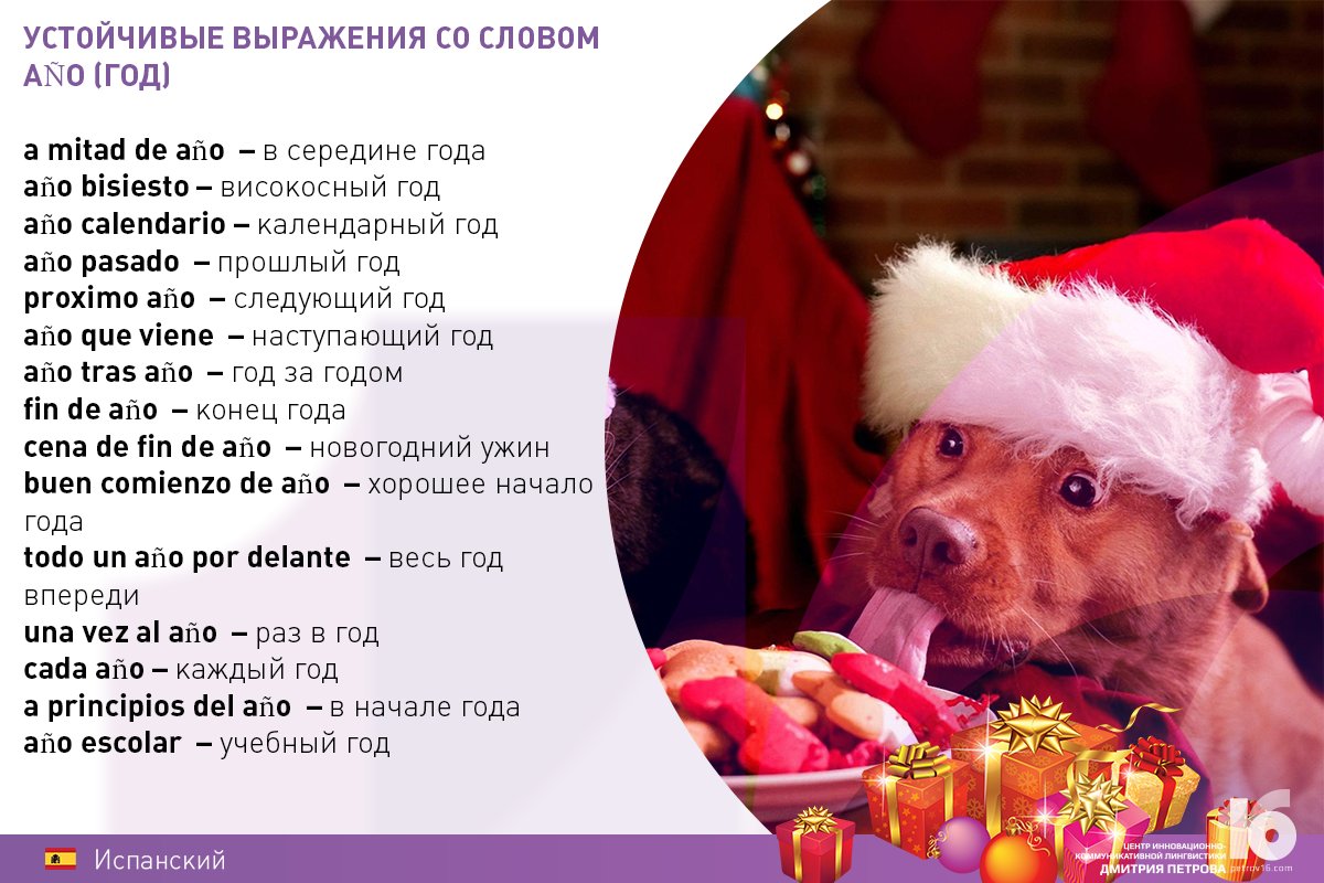 Centerpetrova's tweet photo. https://t.co/Eo2vkkbWFA