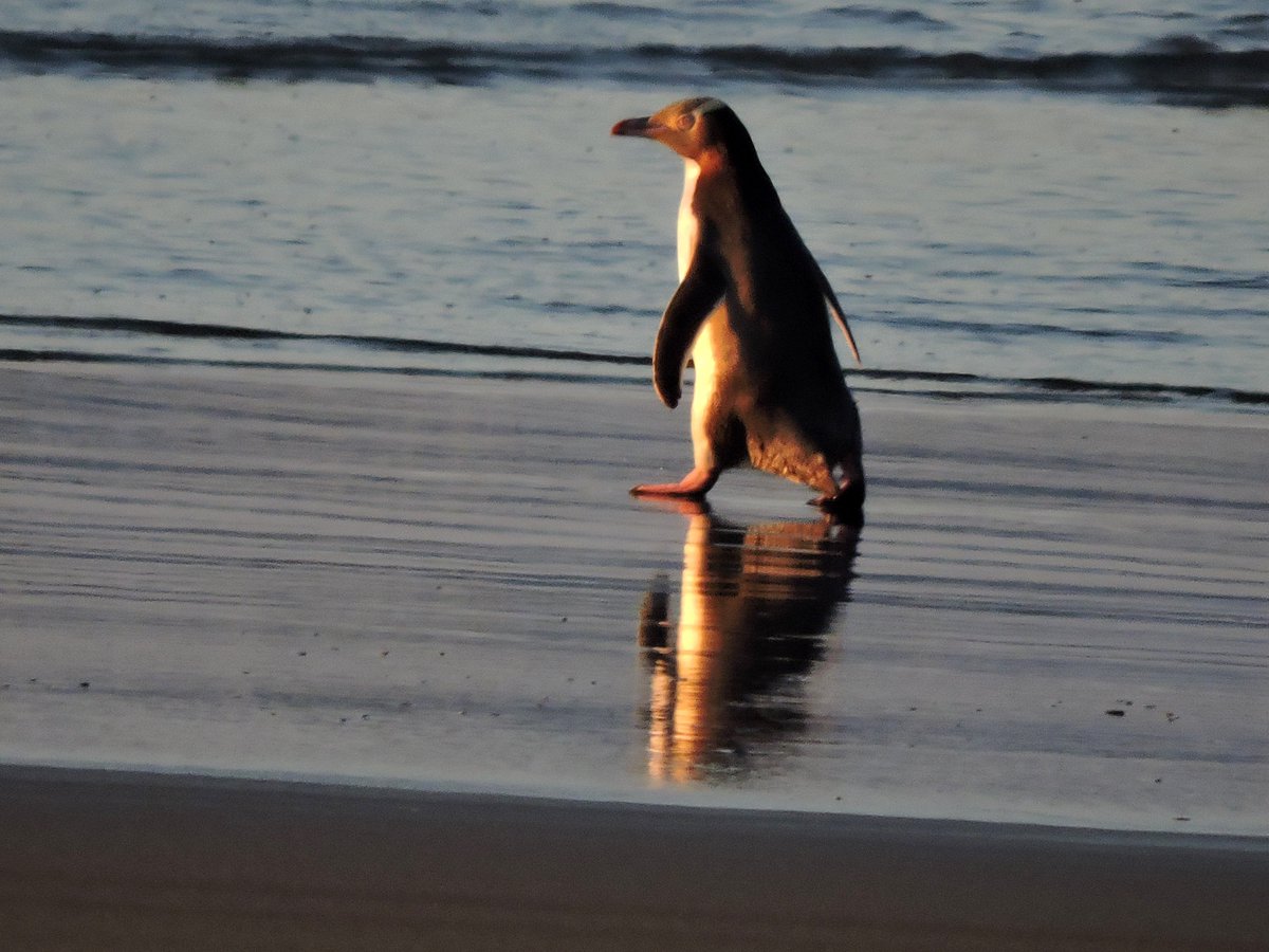 Jess Archer tweet media