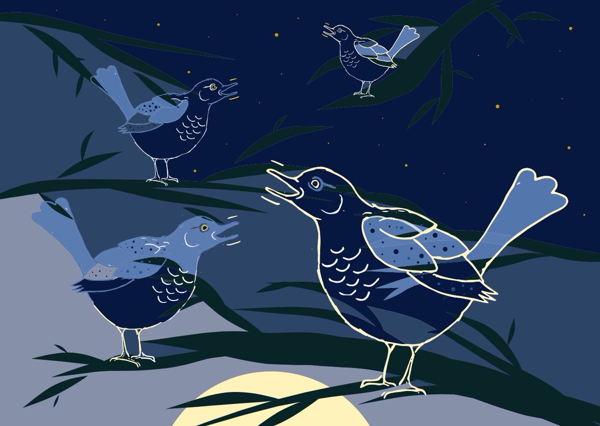 SarahHercod's tweet photo. #fourcallingbirds for my #12DaysOfChristmas #illustration challenge https://t.co/rPnnBS2mTO