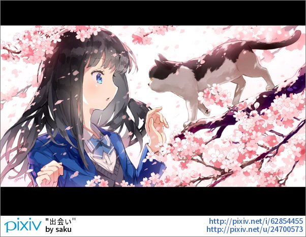 Pixivision 可憐で美しくかわいい女の子と 気まぐれでふわふわでかわいい猫は かわいい かわいいで最強の組み合わせっぴね かわいいあの子とあの娘 猫と女の子のイラスト特集 T Co Nll1idt2u3