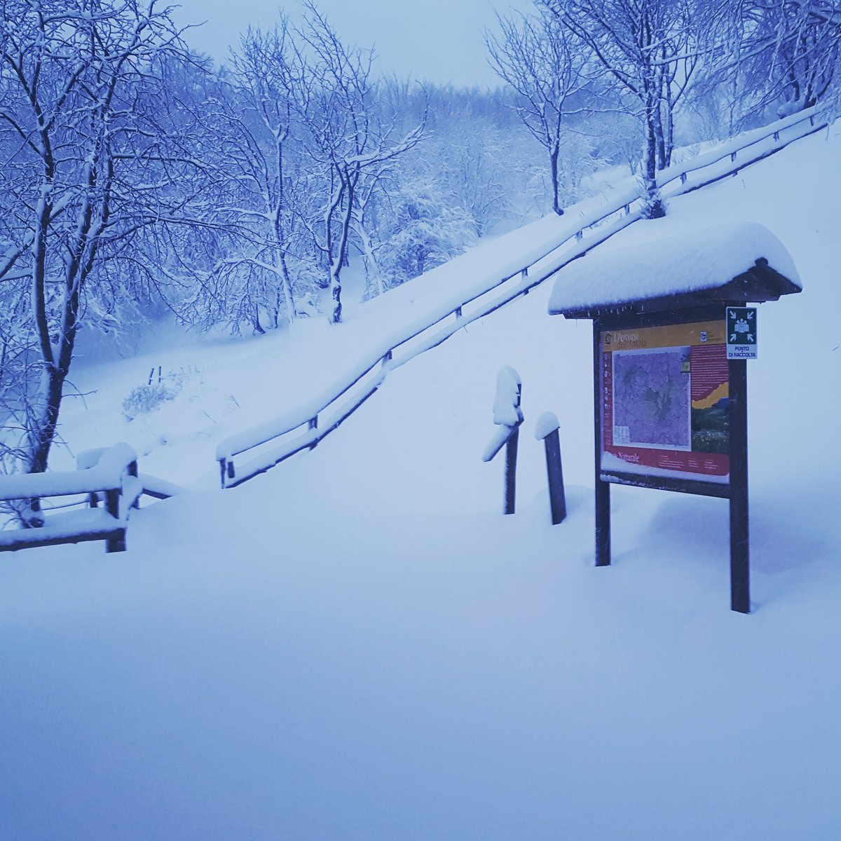 RifuParcoAntola's tweet photo. Ancora #neve #vento e #freddo per oggi, da domani sereno! Preparate le #ciaspole! @ValliAntola @CAILigure @2manti @parcoantola @assorifugitalia https://t.co/7jADsTvJ7i