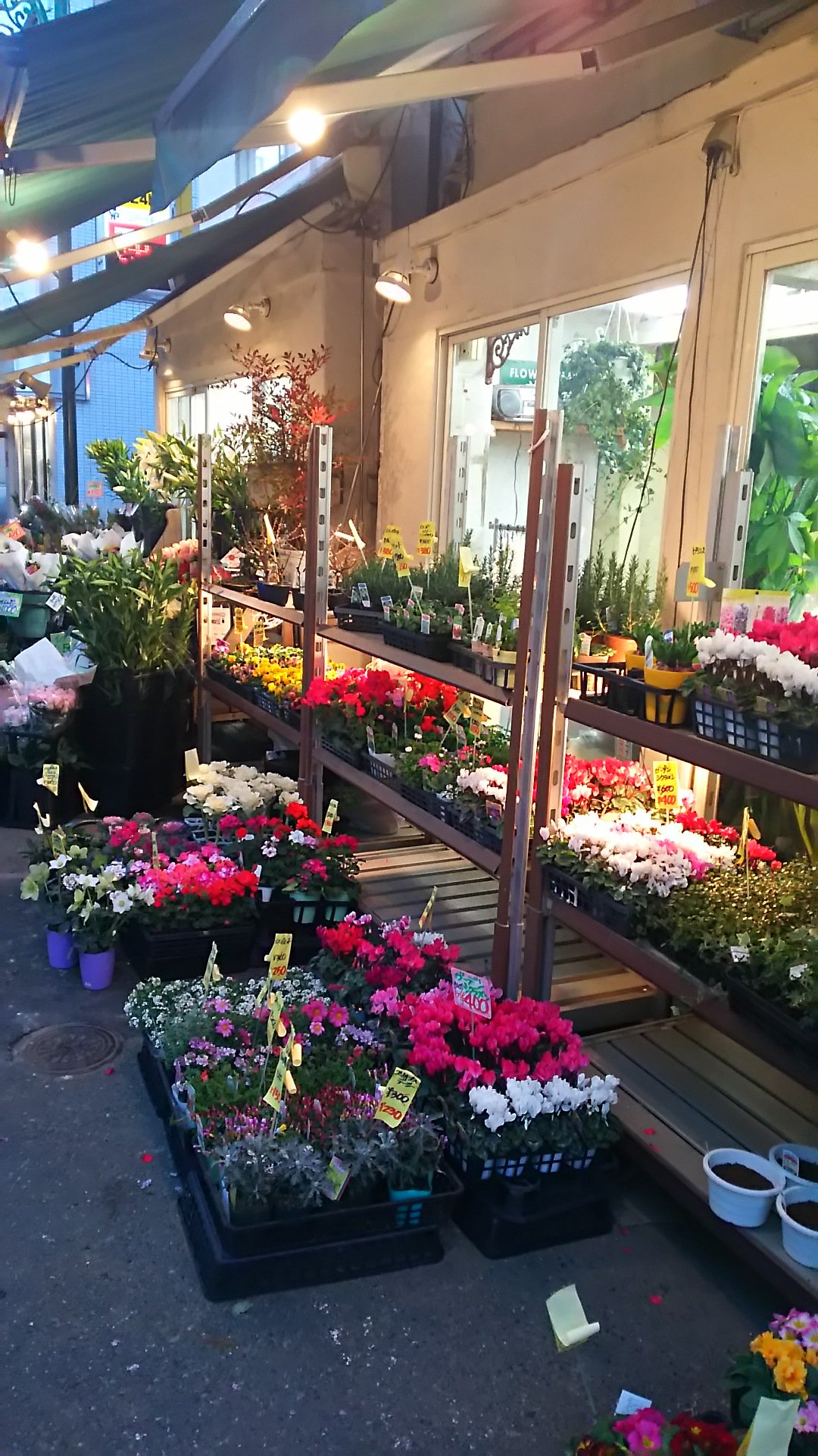 Follow 代々木上原 青山の花市場 S Air Latest Tweets Twitter