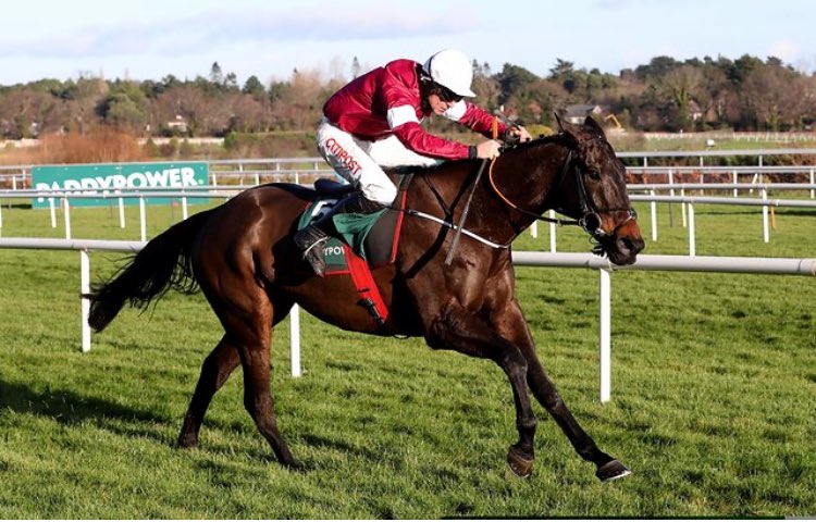 Leopardstown RC tweet media
