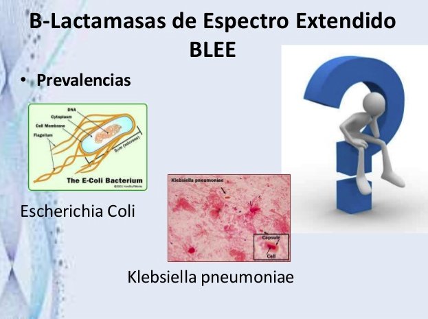 Que Es Betalactamasa De Espectro Extendido volviéndose viral