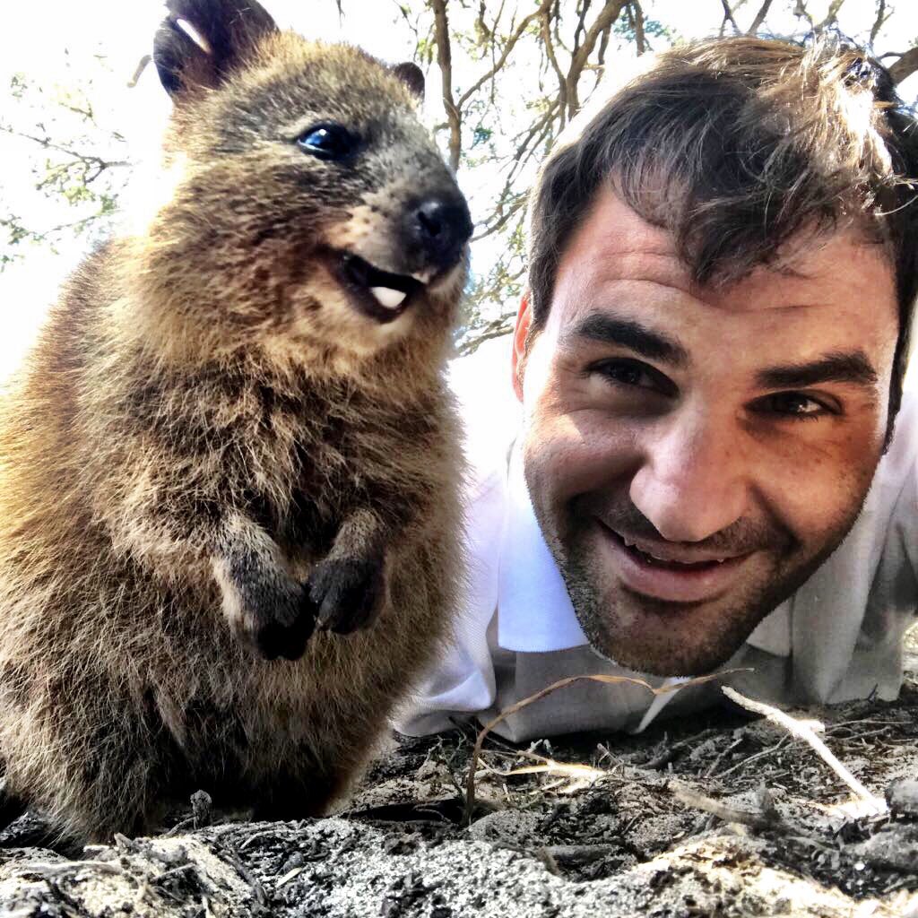 Meet my new furry friend. 
So happy to be back down under 🙃#HappyQuokka @westernaustralia #justanotherdayinWA