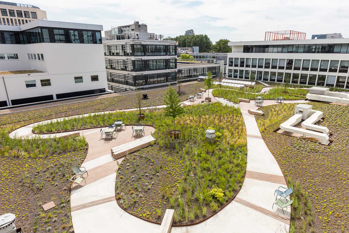 Weerproof's tweet image. Op de #Zuidas heeft Breevast een #polderdak van 2.150 m2 laten aanleggen. Dit dak is niet alleen #rainproof, maar ook een plek om te recreëren voor medewerkers en bewoners van het pand: bit.ly/2hpxgUg