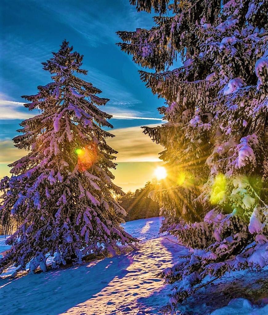 MoniqueFriedli's tweet photo. Belle journée https://t.co/XwFKtmywZj