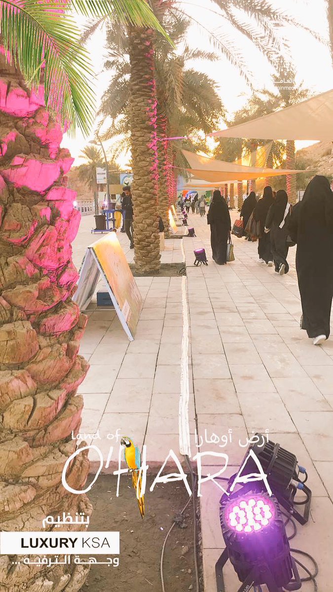 اسأل الرياض تويتر أوهارا لاند إيفنتس عروض القراصنة العالمية والمزيد من الفعاليات الرائعة وادي نمار من 4 إلى 11 مساءً يوميًا حتى السبت 30 ديسمبر