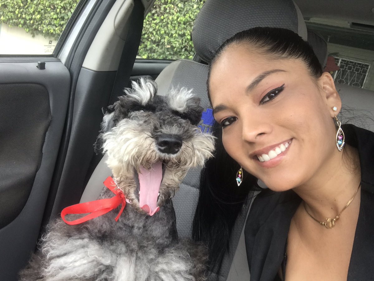 La_titip's tweet photo. 2da. edición campaña Social" Bailarines y Animales,Amigos Incondicionales"🐶🌟💕#CCCEV
#cccevbailarinesyanimalesamigosincondicionales#MissTiti https://t.co/c3nfx51Dly