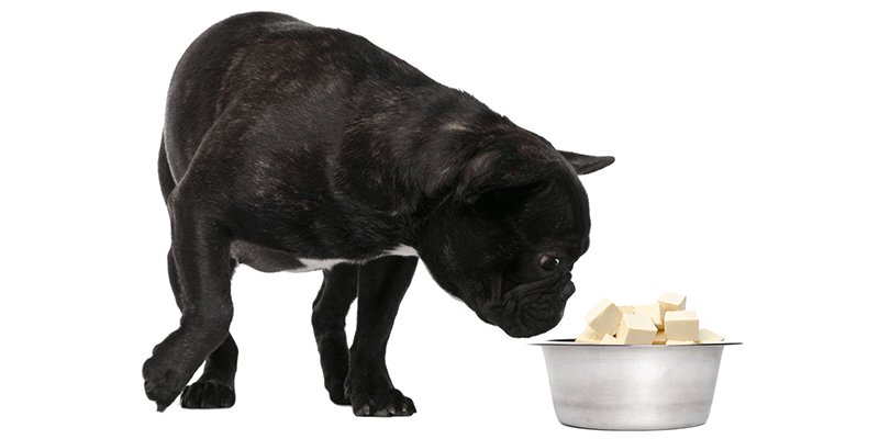 lovedogbabe's tweet photo. Is Tofu bad or good for dogs? π€π€π€π
Find it out in our recent blog https://t.co/Bwtr690LTJ.
#tofu #dogs #pet #dog #pup #pets #animal #animals #cute #dogfood #nutritious #tasty #dogslover #dogbabe #puppies #hound https://t.co/e59c3vtwbM