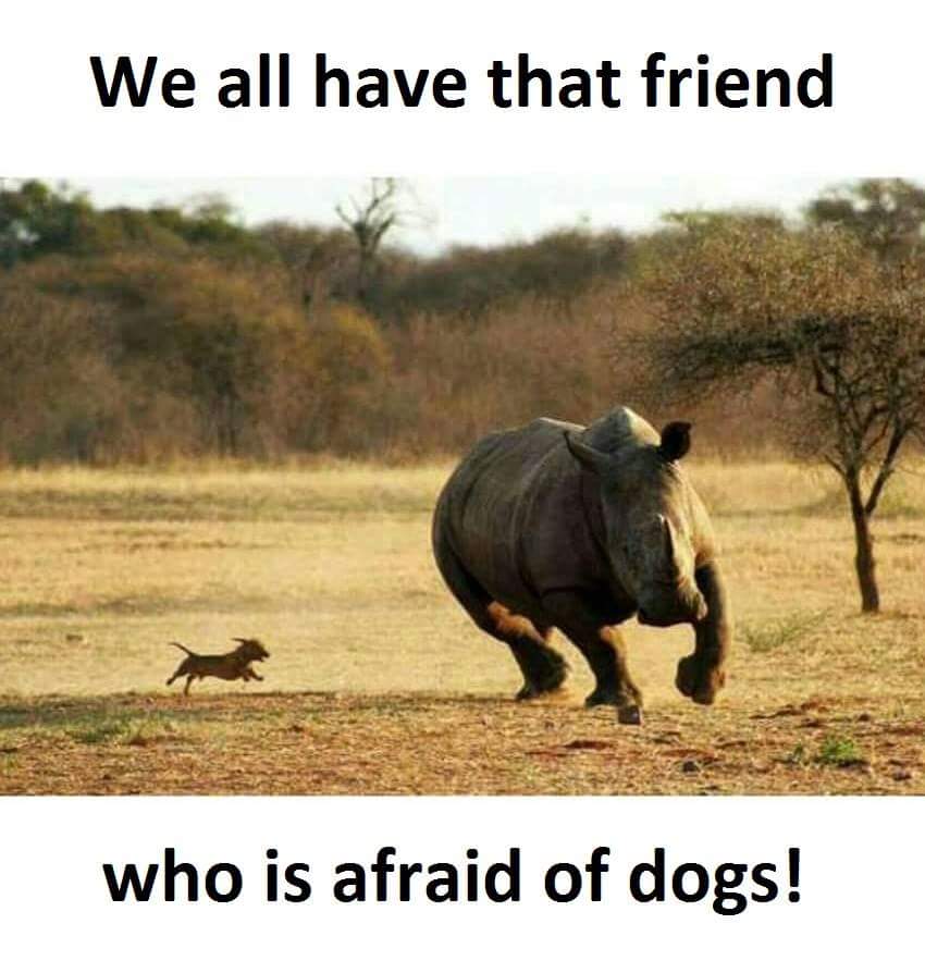 gethelpworldwid's tweet image. 