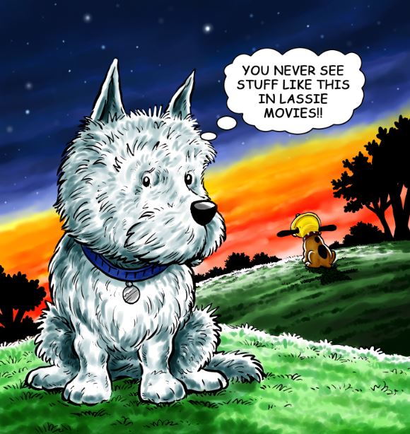 hackmanthedog's tweet photo. #comicstrip #comicart #comic #westie #spaniel #hacktag #illustration #art #petthoughts #dogsoftwitter #petsoftwitter #philosophy #funtimes https://t.co/3RIDPdKI57