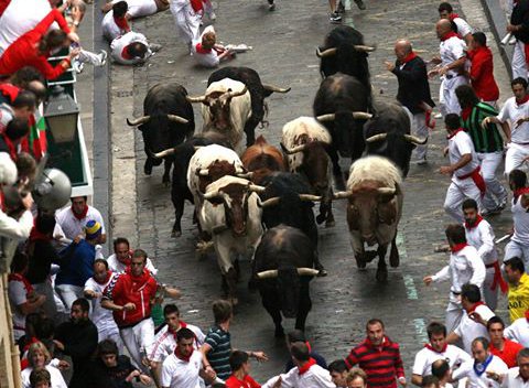 encierros's tweet photo. Encierros con 9 toros en Sanfermin 2018

https://t.co/CHPHXiHcOI https://t.co/avx1Lvdd38