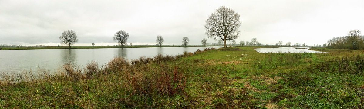 moNAment_banken's tweet photo. Henk de Leeuw bedankt, alle foto's staan erop! Afgelopen weken heeft Henk mij de mooiste plekken in #Alphen #Altforst #Appeltern #Beneden-Leeuwen #Boven-Leeuwen #Dreumel #Maasbommel en #Wamel laten zien. Klik op de link voor de 61 #herdenkingsbank opties: https://t.co/wuFg84A6lo https://t.co/T57Lm4qggy