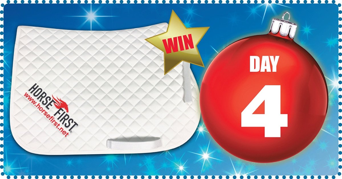 Day Four!! Win a fantastic branded saddle pad, head over to facebook.com/horsefirst to get involved! #competition #giveaway #beinittowinit #horsefirstsupplements #247equestrian