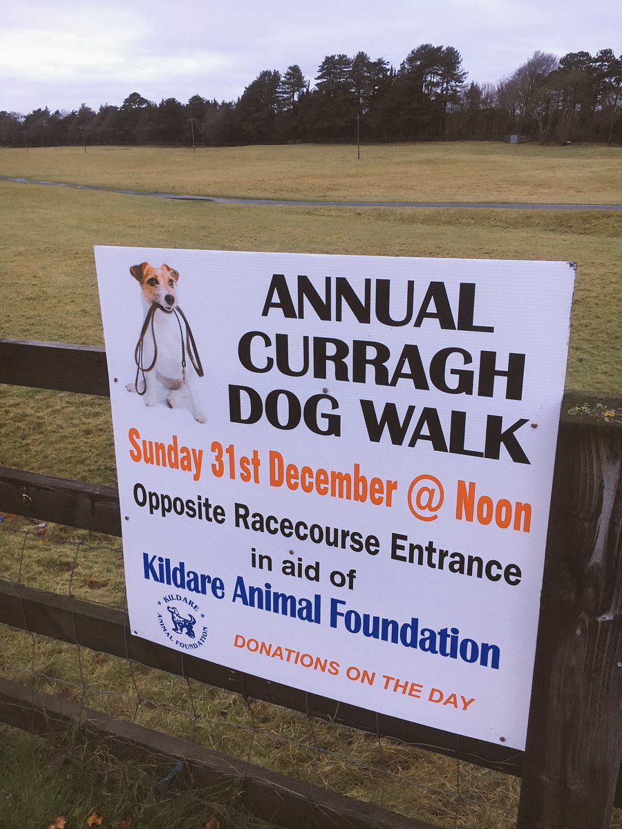 Curragh Dog Walk tweet media