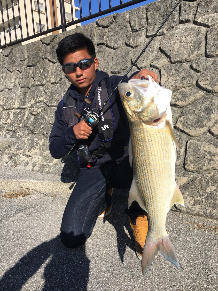 hktsurilove's tweet photo. 本日もオニヒラ狙い!
オニヒラは不調で、推定65up,2.5kgのツバメコノシロが迎えてくれました(^^)
このサイズでも難なくあげられるパワーベイトフィネス、かなりオススメですね(^^)
#Stripedthreadfin
#PowerBaitFinesse
#65up https://t.co/Epb3a7RDCv