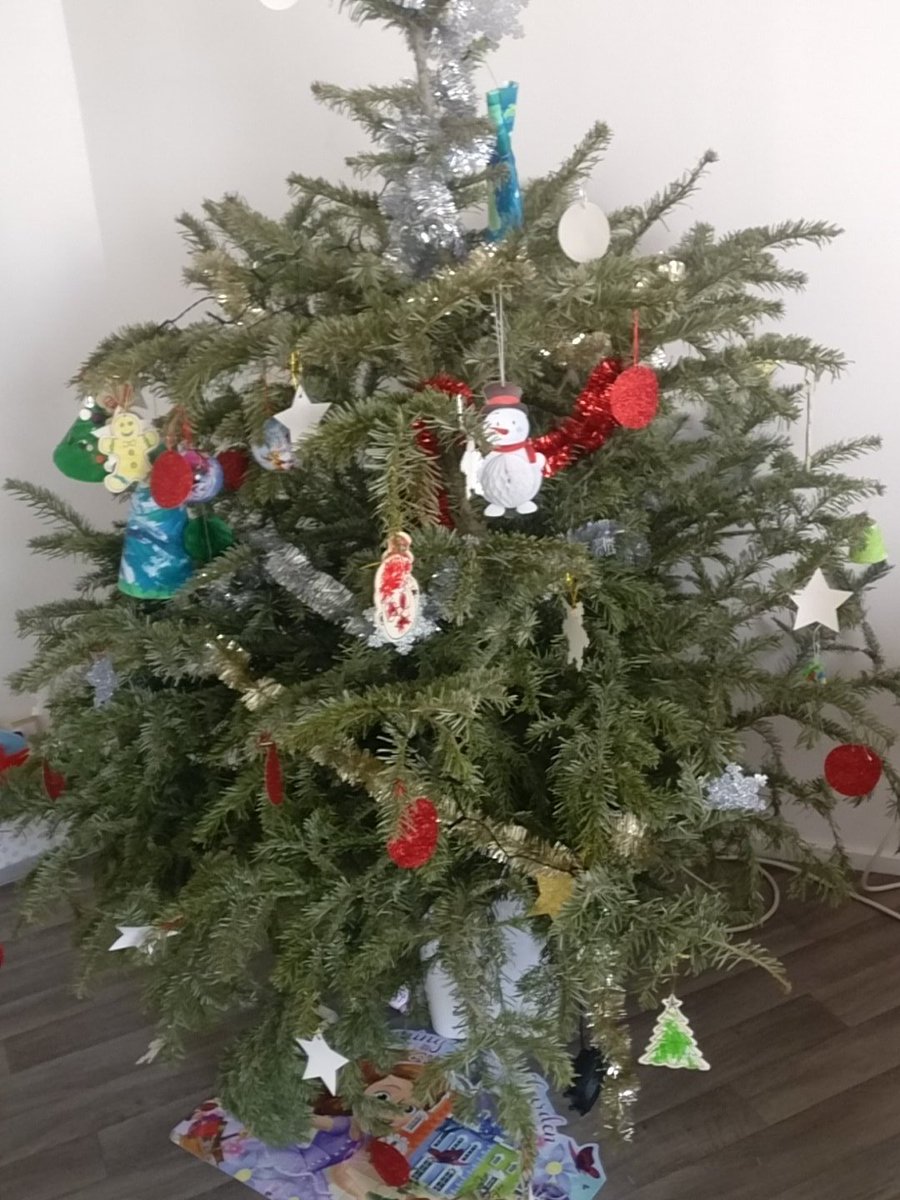 Direct_Dechet's tweet image. Fini Noël, place au recyclage des sapins. #zerosapindanslarue