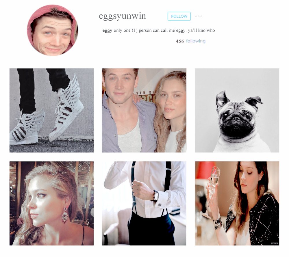 Insta adventures with Egg!