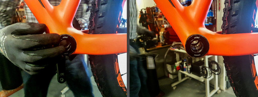 Cemabearing tweet media