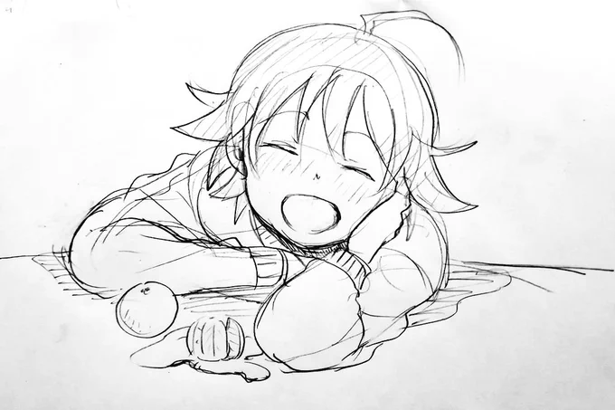 年末はこたつでごろごろ!動かないぞ! 