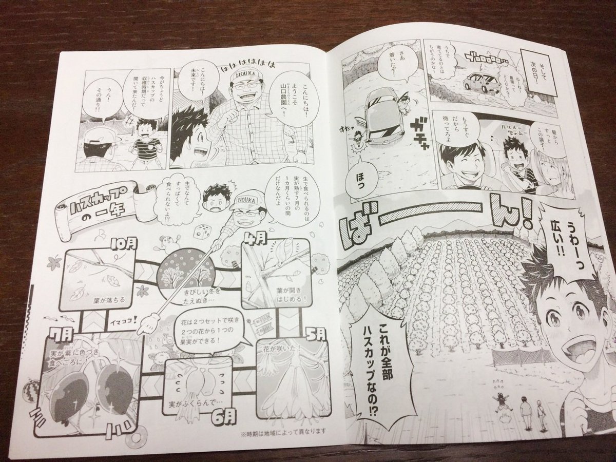 【報告】
東胆振地域の特産品「ハスカップ」を題材にした学習漫画を作成しました！
(有)エアーダイブさんが受けたご依頼に、漫画作成で参加させていただきました！
管内の小学校を中心に、図書館などにも配布されるようです！

▼東胆振地域… 