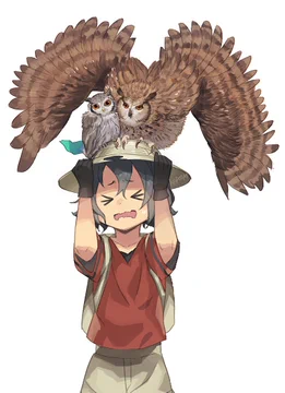 画像 / Picture