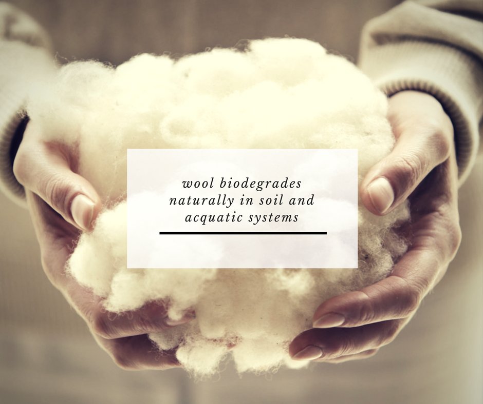 BritishWool's tweet image. #PlanetEarth has got us all thinking about plastics pollution. So why is wool the best choice for the environment?  Find out in our new blog: pos.li/28h2f2   
#newyearsresolutions #microplastics #environment #wool #BritishWool #natural