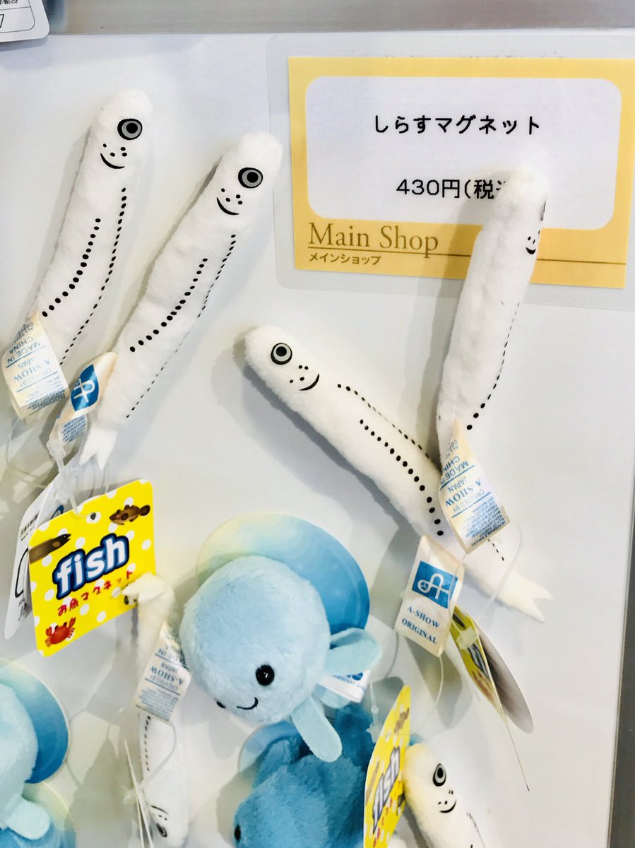 新江ノ島水族館で見かけた面白いお土産シリーズ。 しらすマグネット