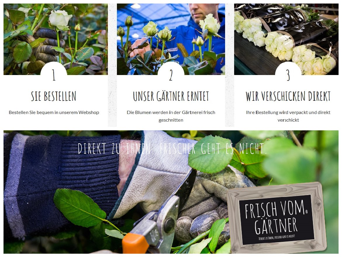 versvankwekerij's tweet image. Hallo #Florist(in)!#Melde dich jetzt an für nur #Frische #Blumen. Direkt vom Land. Frischer geht es nicht! frischvomgartner.de