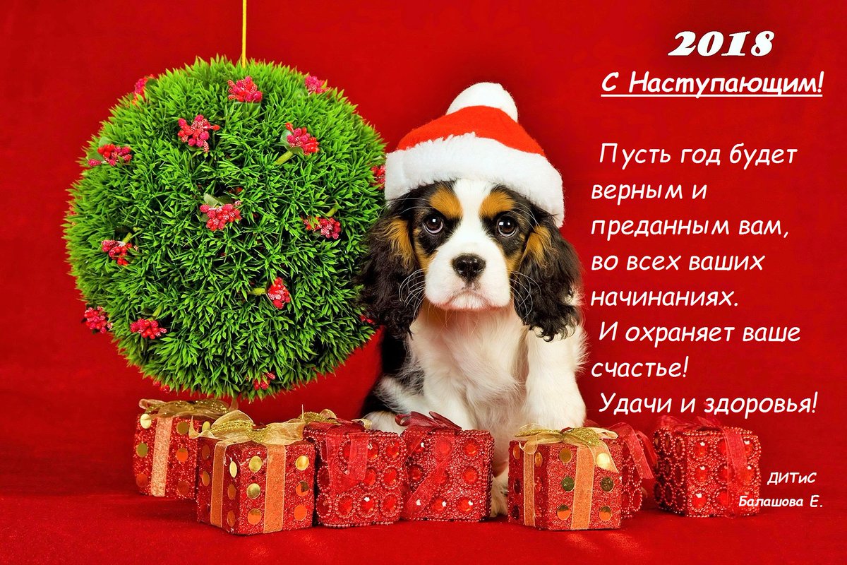 Елена Балашова (@75_bev) | Twitter