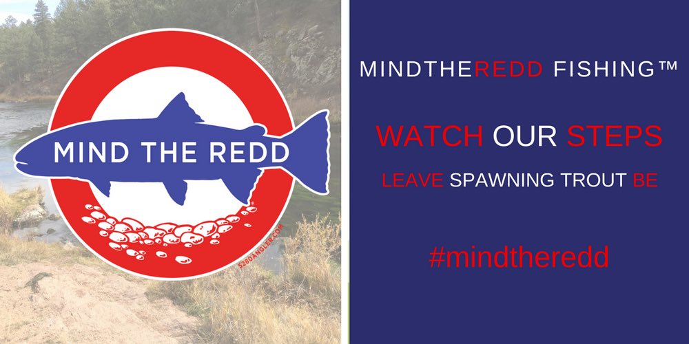 Upstreamdry's tweet photo. Please watch where you wade whilst grayling fishing. Bumped into a nice bunch today blissfully unaware crunching through trout redds in pursuit of a winter grayling! #mindtheredd #hardyflyfishing
#hardyreels
#hardyzephrus
#hodgman
#hodgmangear
#gritgear https://t.co/B1RF84YfJq