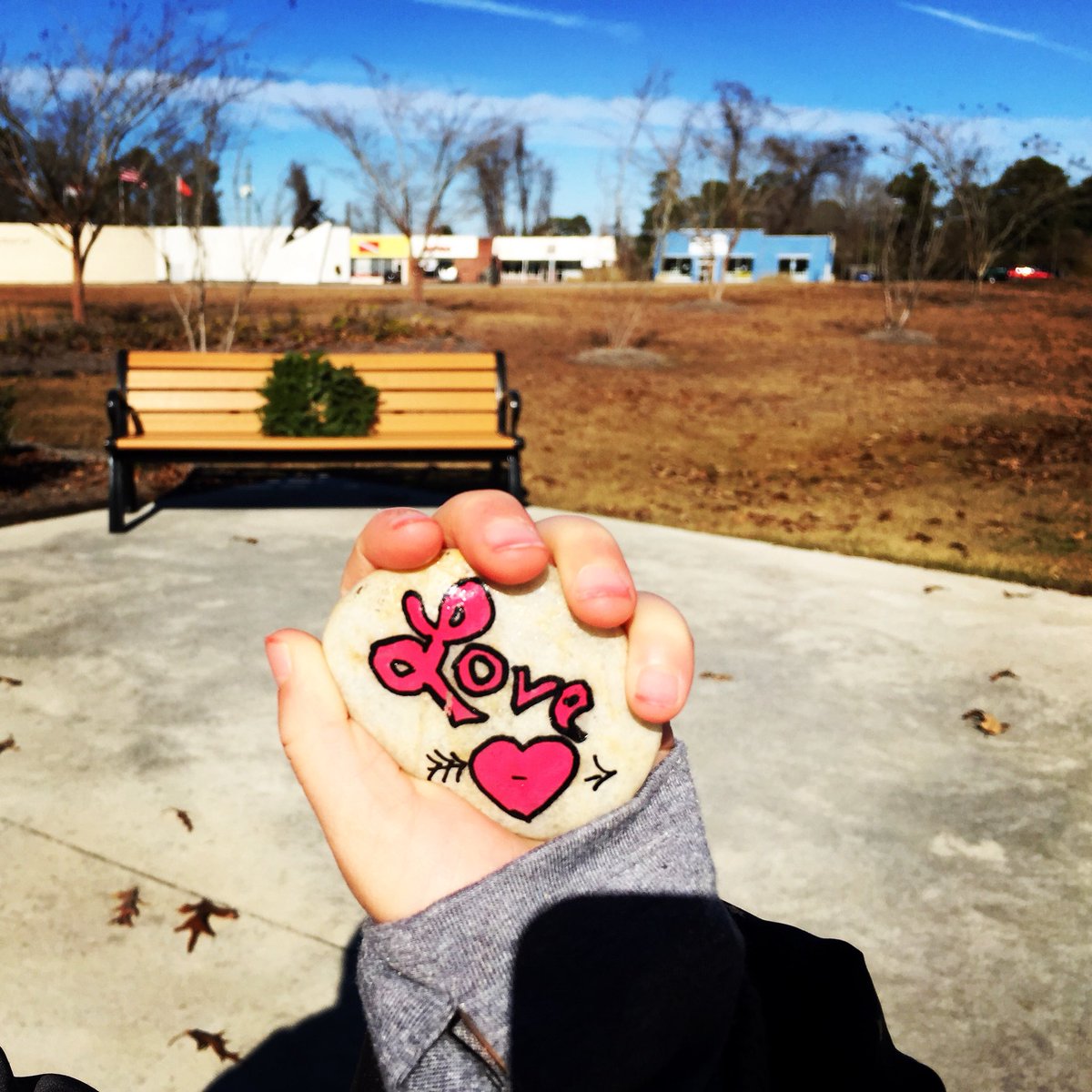 prp3theauthor's tweet photo. We found this awesome #paintedrock. #paintedrocks #onslowrocks #paintedrocksofinstagram #kindnessrocks #rockpainting #trekking #traveler #explorer #worldtraveler #prp3theauthor #instapassport #instatravel #mytravelgram #travelgram #instagood #instamood #instadaily #igdaily https://t.co/TLq5Y8RtoY
