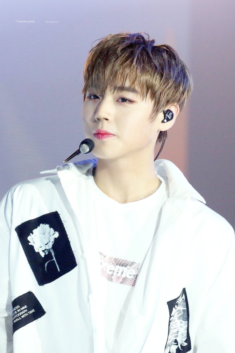TreaclePark0529's tweet photo. 171224🐰🐰🐰

#박지훈 #PARKJIHOON #朴志训  #WANNAONE 🐰 https://t.co/M8lV1hxsBP
