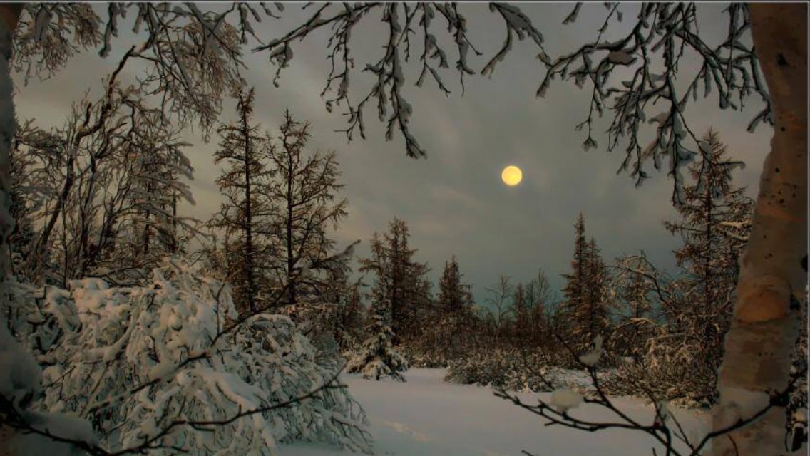sgerendaskiss's tweet photo. Our #Planet in #Winter https://t.co/Zi4qX5xqQ5