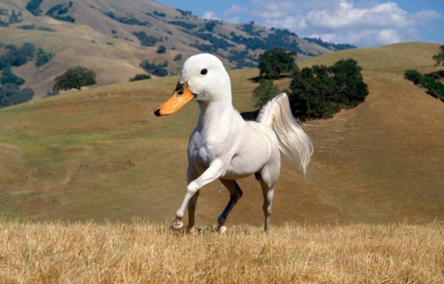 Digitalarti tweet media