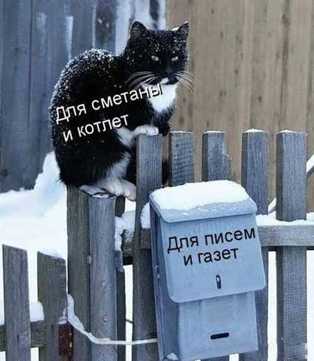 КаркушA... (@karkusharu) on Twitter photo 