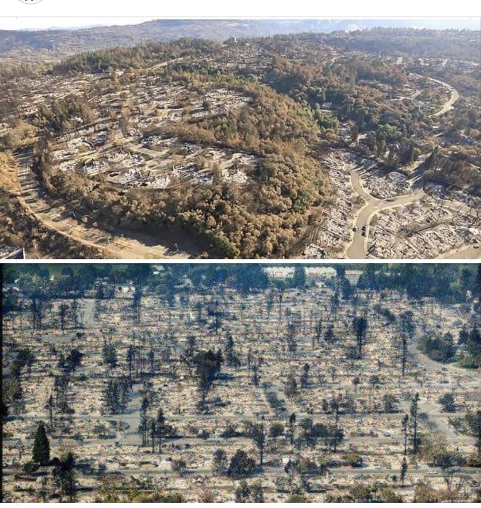 MzzPeacock's tweet photo. @elrayZ @ilike_mike @NorthBayNews @RedwoodCU DEW DO THIS ! A forest fire but no trees burned! Just stop https://t.co/oof0SAxHMY