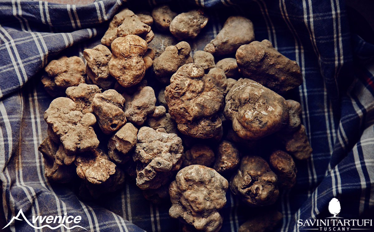 avvenice1's tweet photo. Savini Tartufi joined The Avvenice Project https://t.co/1r2EVpV1MQ #savinitartufi #tuscany #whitetruffle #truffleexperience #worldrecord #guinnesworldrecord #dubai #emirates #topworldtruffle #biggestworldtruffle #avvenice #avveniceselection #twiga #billionaire #fourseasons #top https://t.co/zhnVTJRM1k