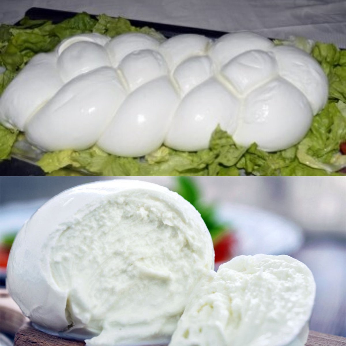 SimRuggieri's tweet image. Via libera per il riconoscimento DOP della #mozzarella di Gioia del Colle con successiva guerra della #mozzarelladibufala campana. Come si può pensare che deve esistere solo una?L'Italia é bella per le sue diversità, infondo non é a tavola che si risolvono tutti i problemi?! ❤