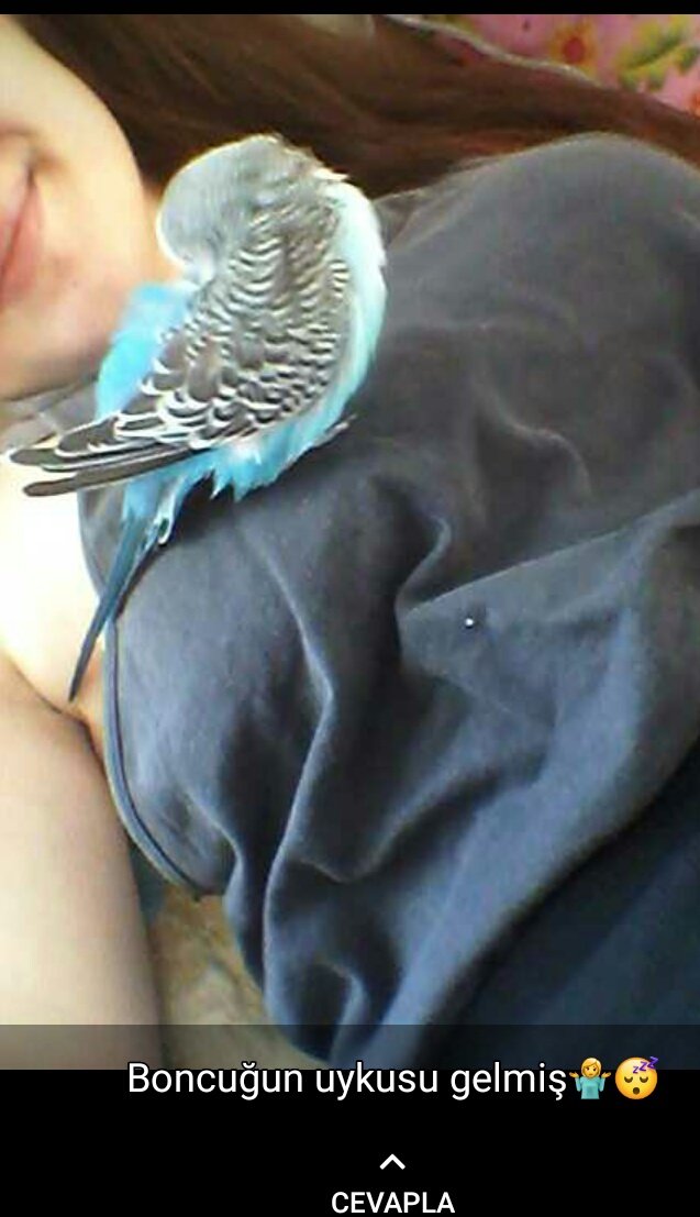 Olan var olmayan var ama bende var 😂😂😂