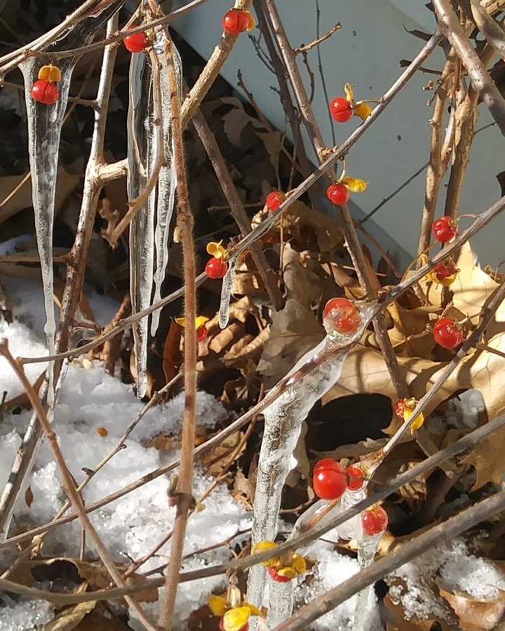 RMT Photography tweet media