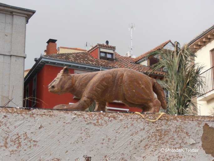 pixiewatchcat's tweet photo. What do you think of this life size paper mache cat in the nativity of Escorial, Spain? 🐱 #CatsOfTwitter  #cats https://t.co/QM4O8ZxY0y