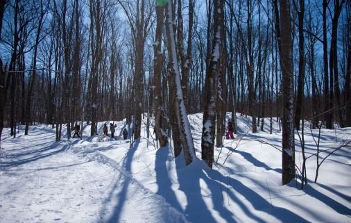 Sentier Lauriault Gatineau  : 200 Ch De La Savane Gatineau Qc J8T 1R3.
