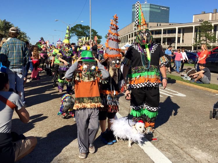 golakecharlespr's tweet photo. Get your beads ready and put on your dancin' shoes! Check out @CharlesMcCool's awesome new #SWLAMardiGras post! --> https://t.co/YSHEglY29m
#VisitLakeCharles https://t.co/cqEpvN4AiM